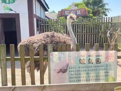-太阳岛旅游度假区