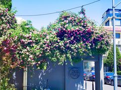 -东花市北里中区