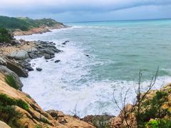 -广东惠东海龟国家级自然保护区