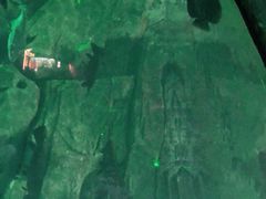 -泉城欧乐堡海洋极地世界