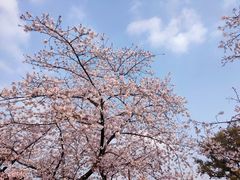 -东湖磨山景区