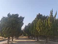 -云龙湖旅游景区