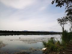 -绿堤公园