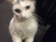 -张记牛肉面馆(天津路店)