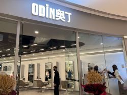 -ODIN 奥丁形象设计 