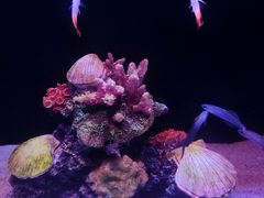 -欢乐海岸海洋奇梦馆