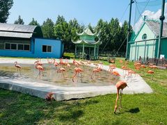 -秦皇岛野生动物园