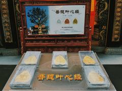 -乐山乌木文化博览苑