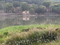 -风云岭森林公园