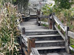 -雁南飞茶田景区