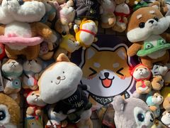 -逗柴咖啡屋·狗咖猫咖宠物桌游
