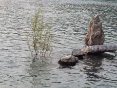 -百泉景区