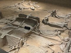 -洛阳周王城天子驾六博物馆