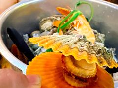-土蚝·高压锅生蚝(百姓美食街店)