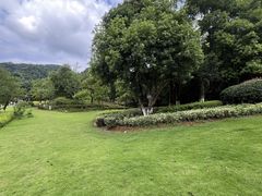 -桃花岭景区