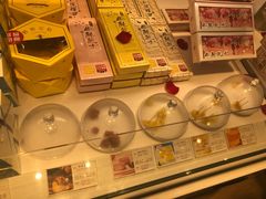 -好利来(十里河店)