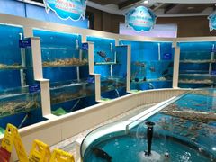 水产区-福泉海码头(六里山店)
