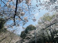 -杭州少年儿童公园