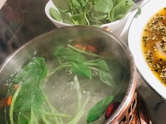 水煮鸡毛菜-初蓉丨遇见新川菜(亲贤街荣耀店)