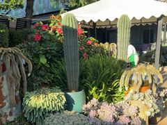 -山菌美食苑(振兴路店)