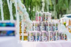 -保定金沙芝柏婚礼策划