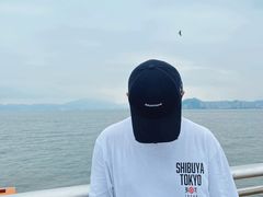 -演武大桥观景平台