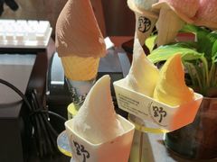 -野人先生现做冰淇淋(北京王府井东方新天地店)
