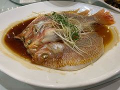 清蒸五彩斑-东方之珠海鲜酒楼(南开店)