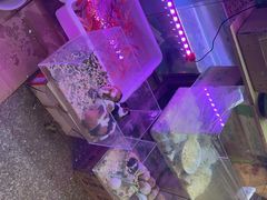 -双季花艺园艺市场(浦东店)