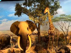 -陕西自然博物馆