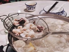 脆鲩鱼腩-中山脆肉鲩(新圳东路店)