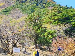 -北京鹫峰国家森林公园