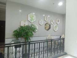 -新生植发·植养护一体