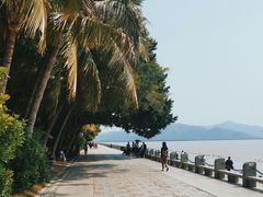 -福田红树林生态公园