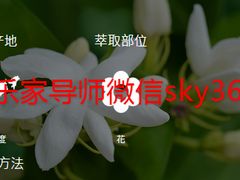 -美乐家健康生活馆(北京旗舰店)