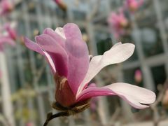 -国家植物园南园