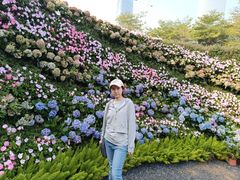 -海心沙亚运公园