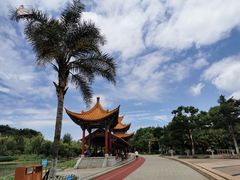 -洛龙公园