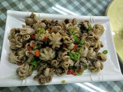 风味小八爪鱼-烁佳海鲜大馅饺子