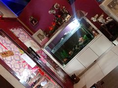 -ventus spa 沙巴亚庇正宗精油按摩会所