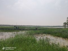 -西青郊野公园