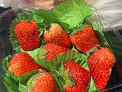 -万达广场(南京江宁店)