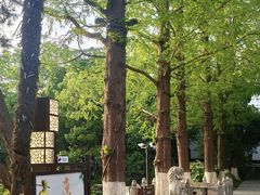 -包公祠