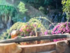 -龙门水都景区