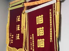 -半岛宠物医院24小时(科华中路店)