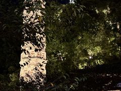 -王天顺海苔饼
