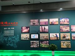 -中国湿地博物馆