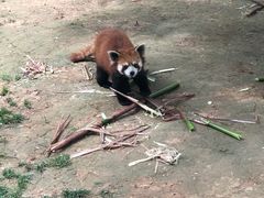 -西安秦岭野生动物园