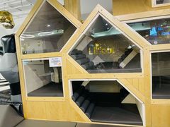 -Lilliput粒粒堡亲子餐厅(置汇旭辉店)