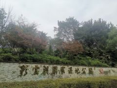 -重庆彩云湖湿地公园
